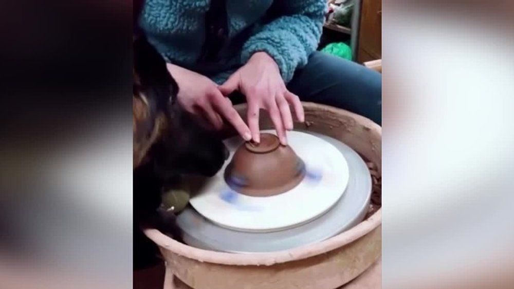 Dog wants to do pottery and goes viral