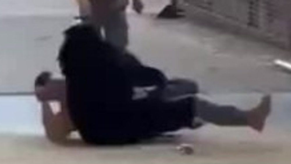 Video: Schock bei Tiershow: Bär ringt Mann zu Boden