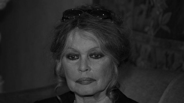 Brigitte Bardots Todesursache bekannt: Daran starb die Filmlegende
