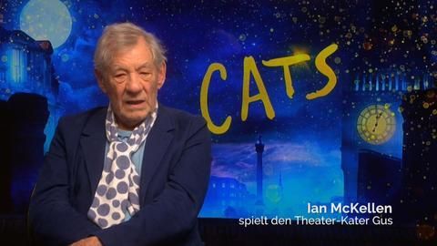 «Cats»-Darsteller Ian McKellen mag keine Katzen