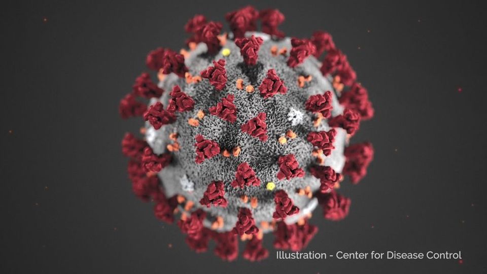 Coronavirus: Internationaler Gesundheitsnotstand ausgerufen