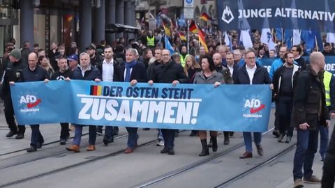 AfD finanziert sich fast zur Hälfte aus Mitteln des Staates