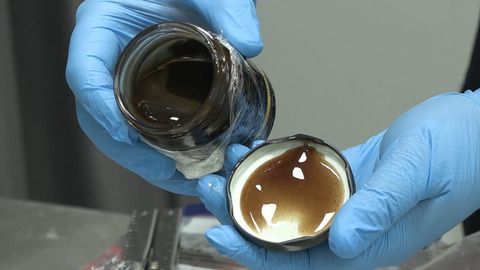 Illegales Mitbringsel: Der gefährliche Potenzhonig-Boom