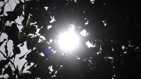 Zum 28. Mal in Folge: Sommer 2024 deutlich zu warm