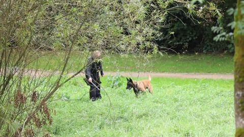 Polizei sucht erneut nach Beweismittel in Solingen