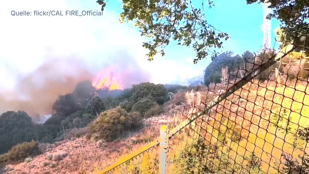 Kampf gegen Feuer: Starkwinde erschweren Großeinsatz in Los Angeles