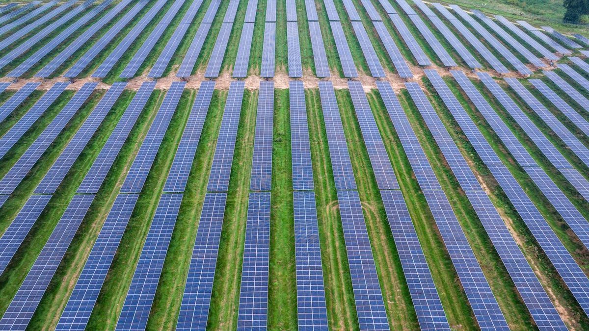 Solarstrom trifft Landwirtschaft: Deutschlands größter Agri-PV-Park in MV gestartet