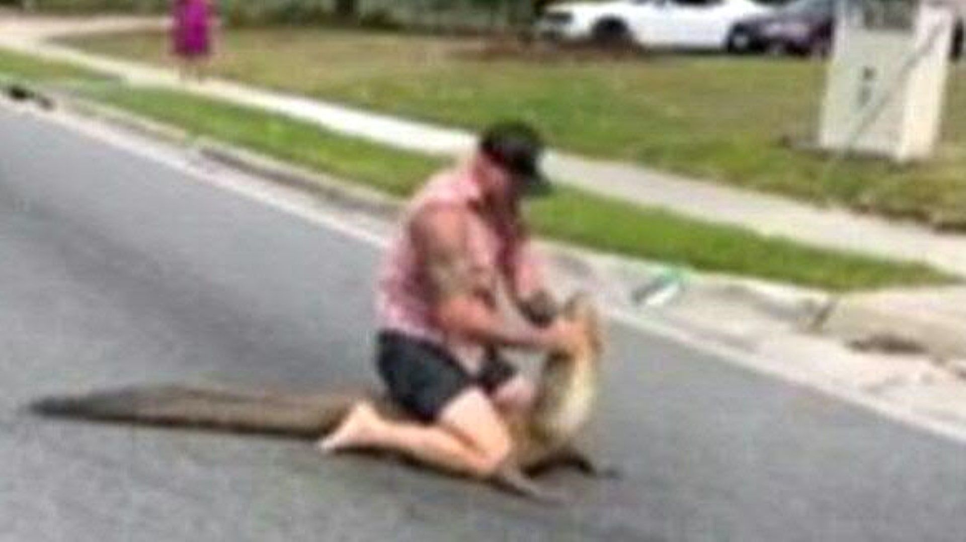 Florida: Man tames alligator with his bare hands