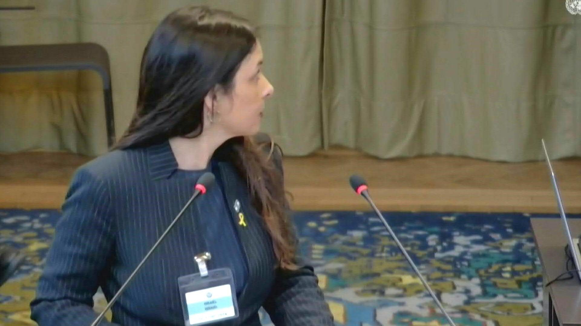 "Lügner, Lügner!" - Protest gegen Israel vor Internationalem Gerichtshof