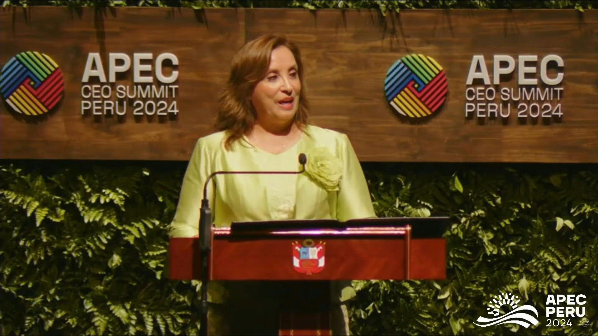 APEC CEO summit opening ceremony in Lima