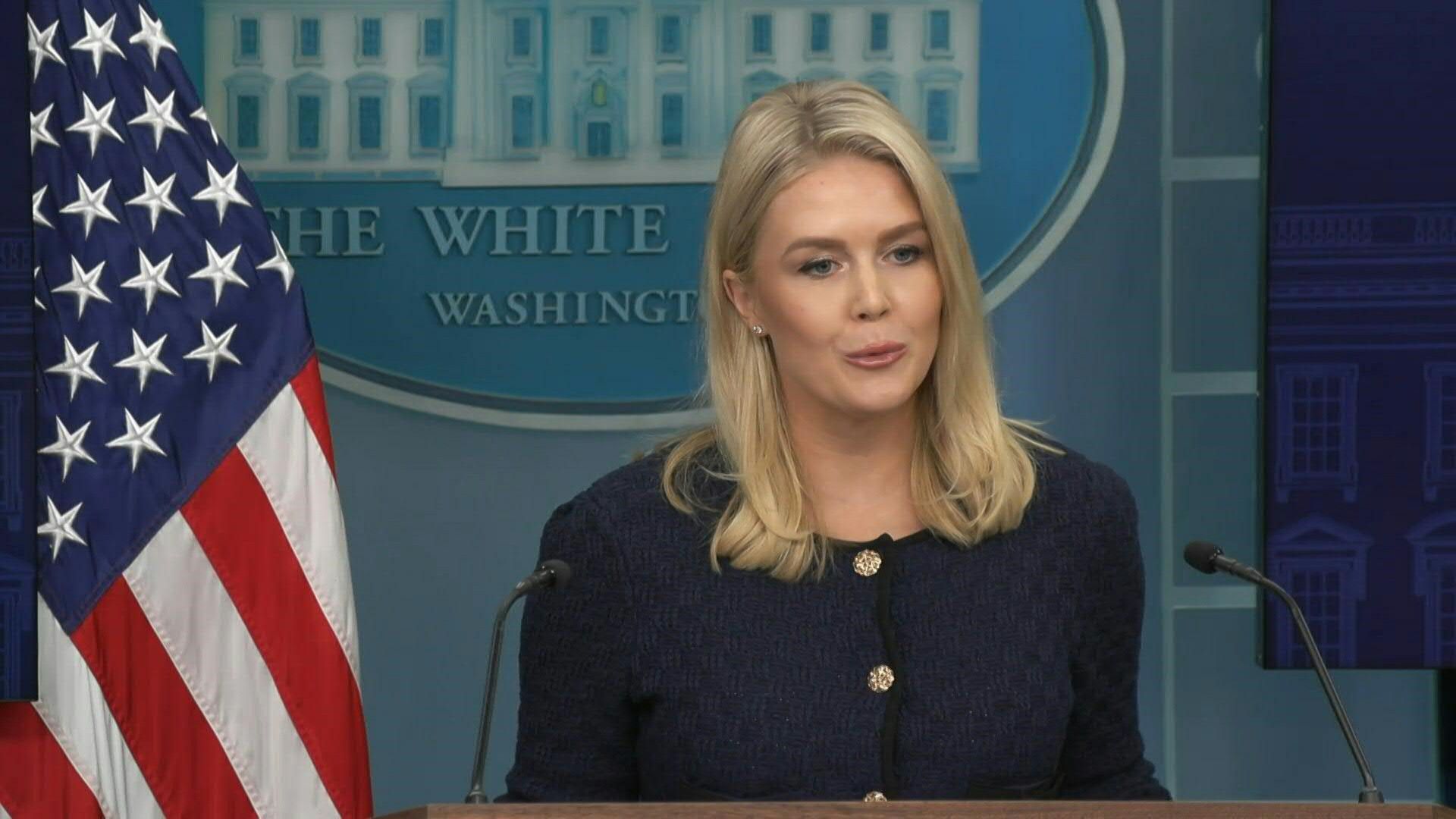 Video: Trump to attend NATO summit in The Hague: White House