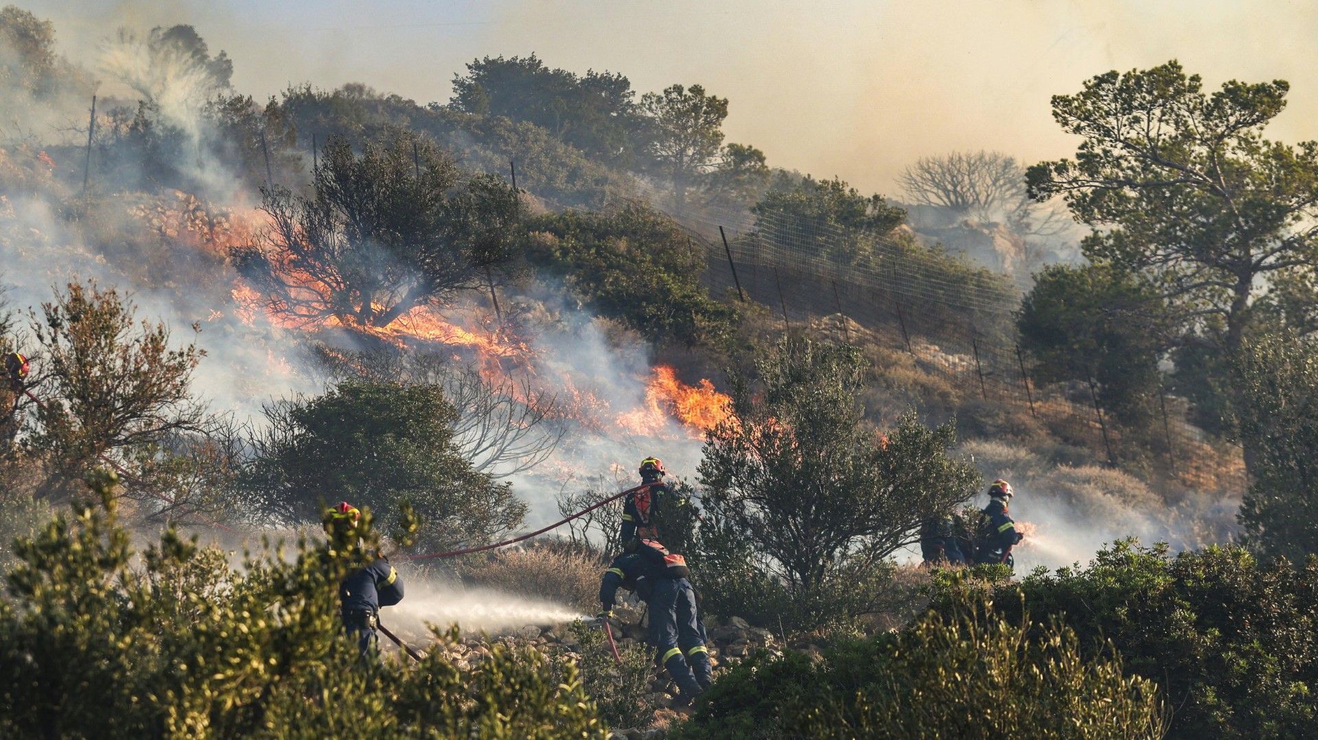Waldbrände in Griechenland und der Türkei: Vorsichtige Entwarnung