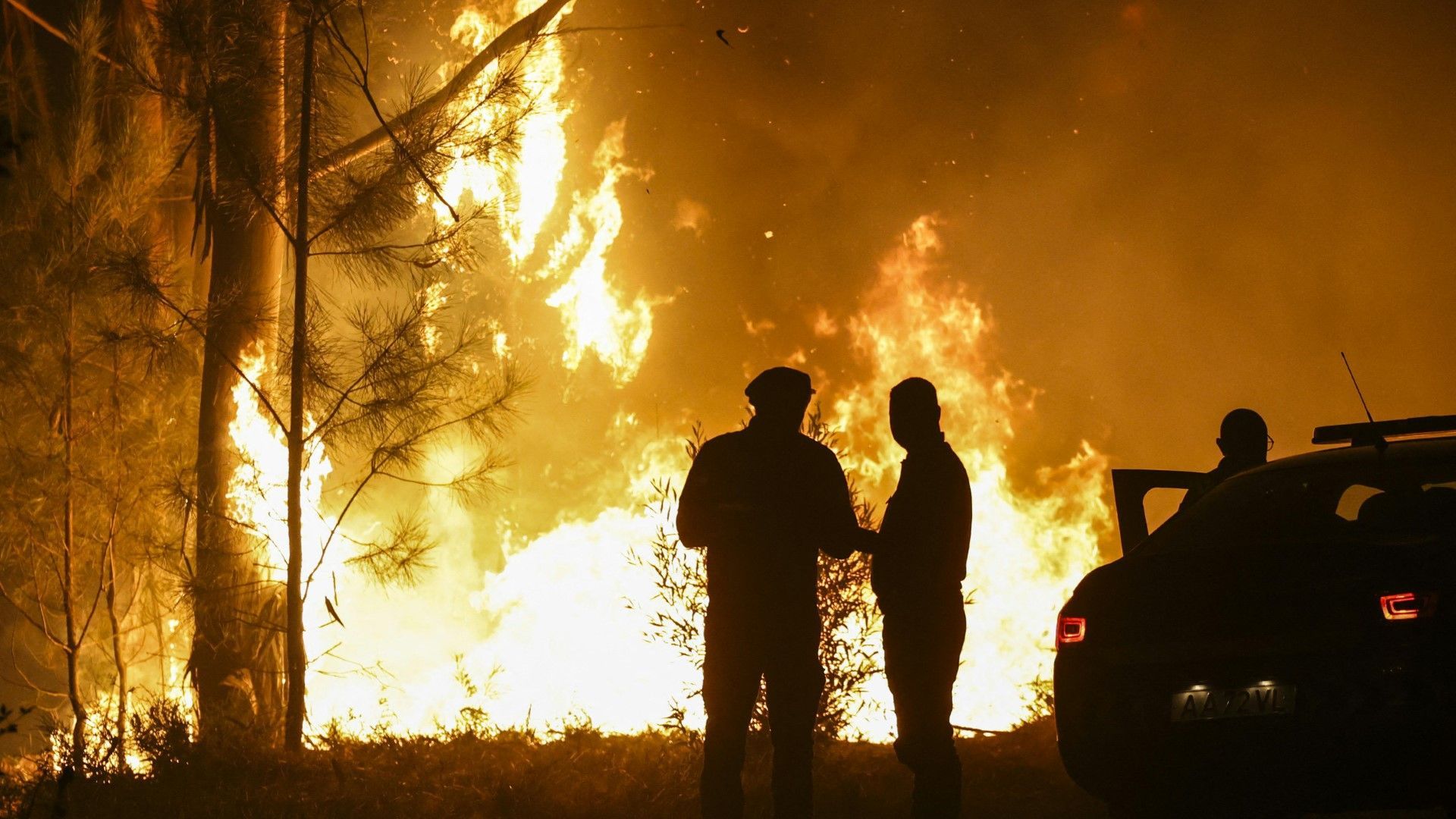 Schwere Waldbrände in Portugal: 2700 Feuerwehrleute im Einsatz