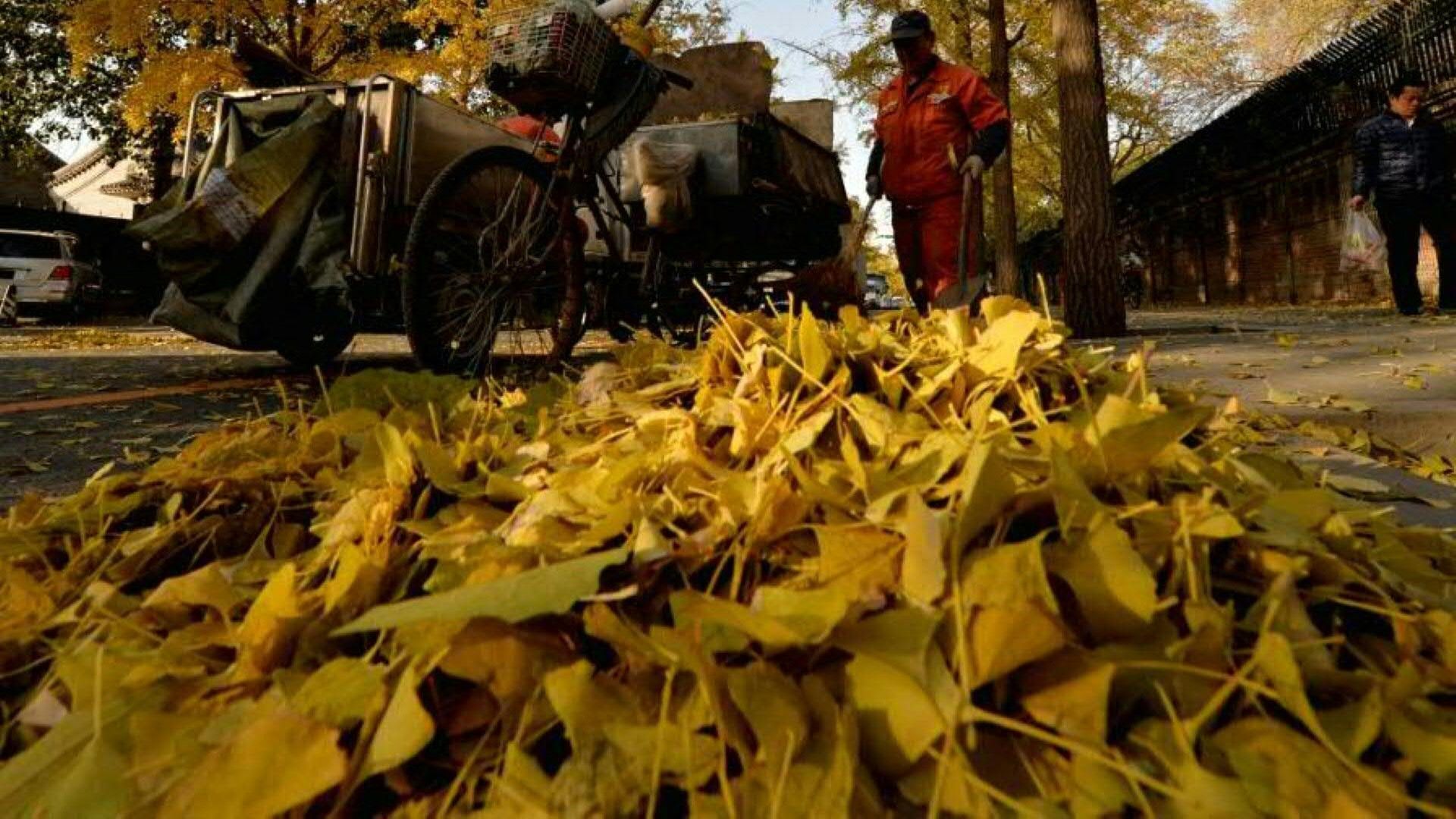 Nebel, Blätter, Wildwechsel: Gefahren für Autofahrer im Herbst