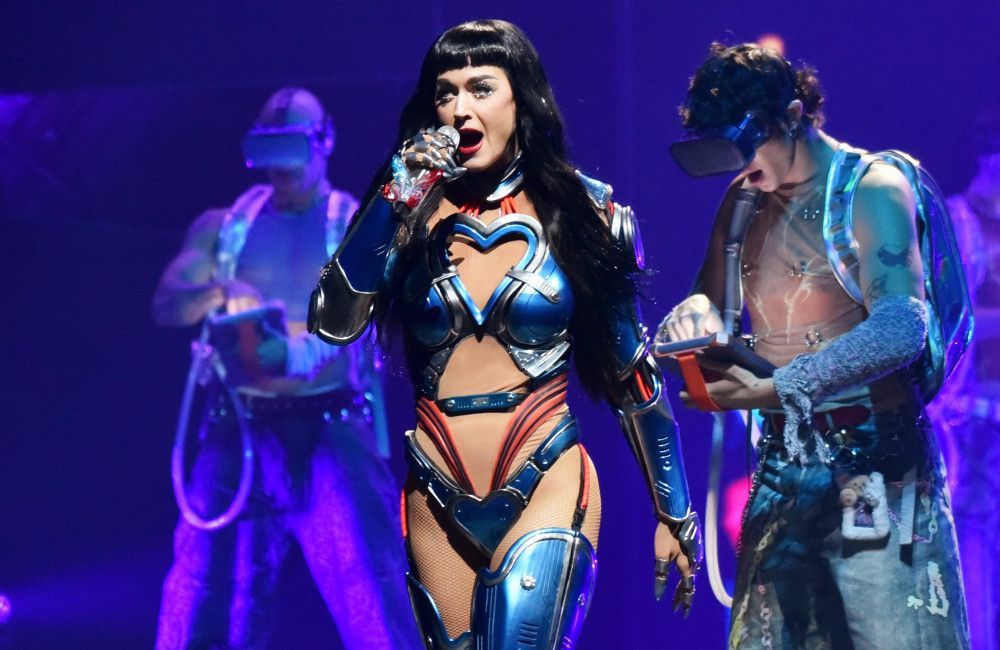 Katy Perry's proposal fan made 'risky' move