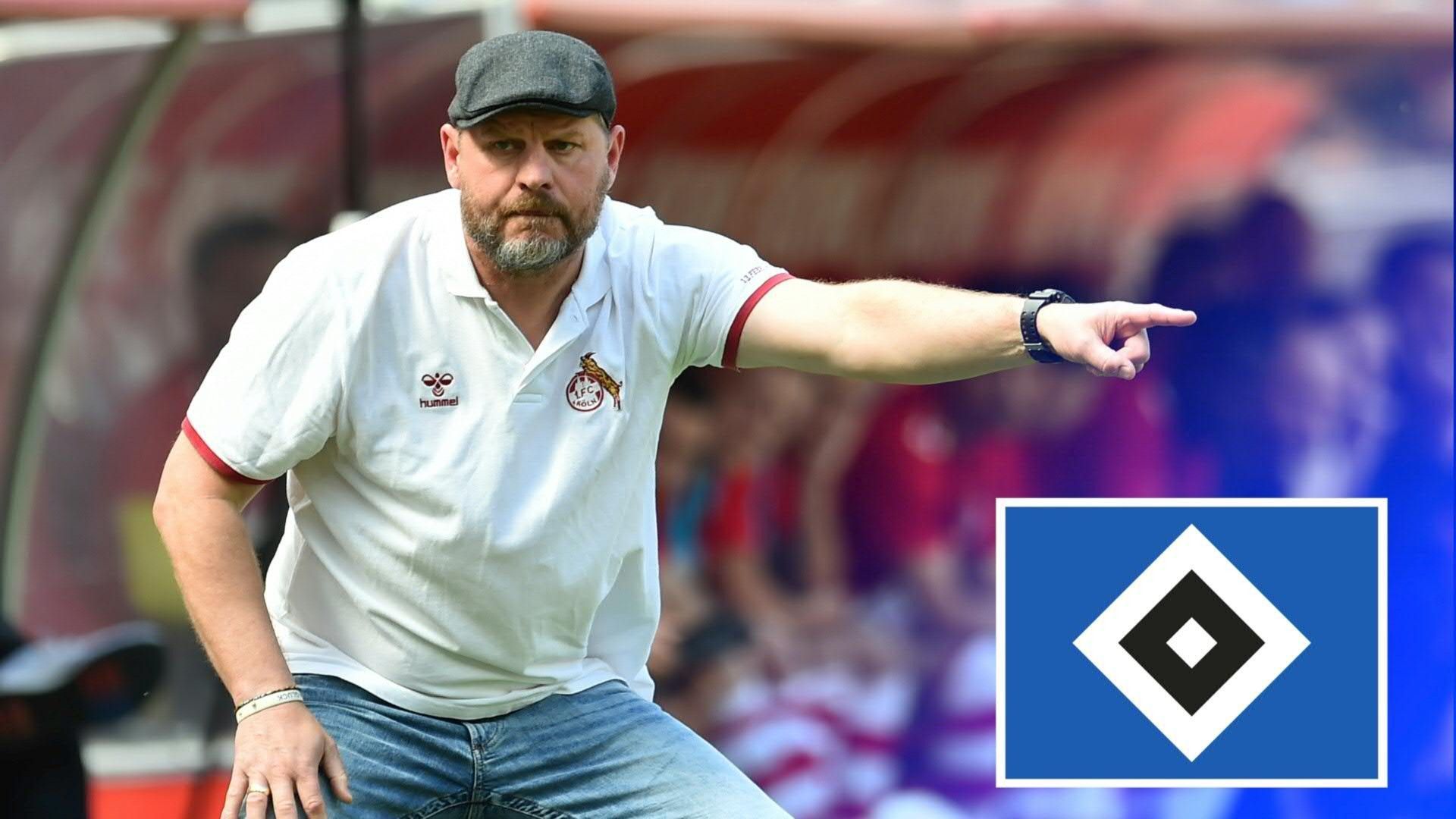 Medien: Baumgart wird neuer HSV-Trainer