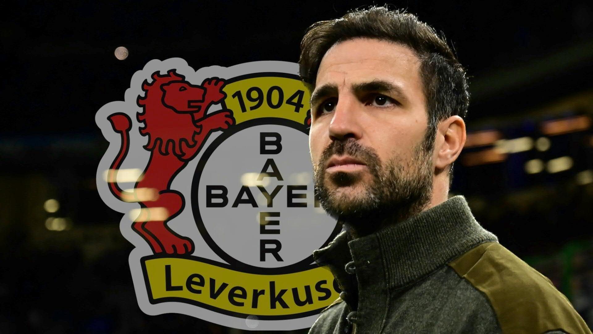 Fàbregas offenbar in Gesprächen mit Bayer Leverkusen