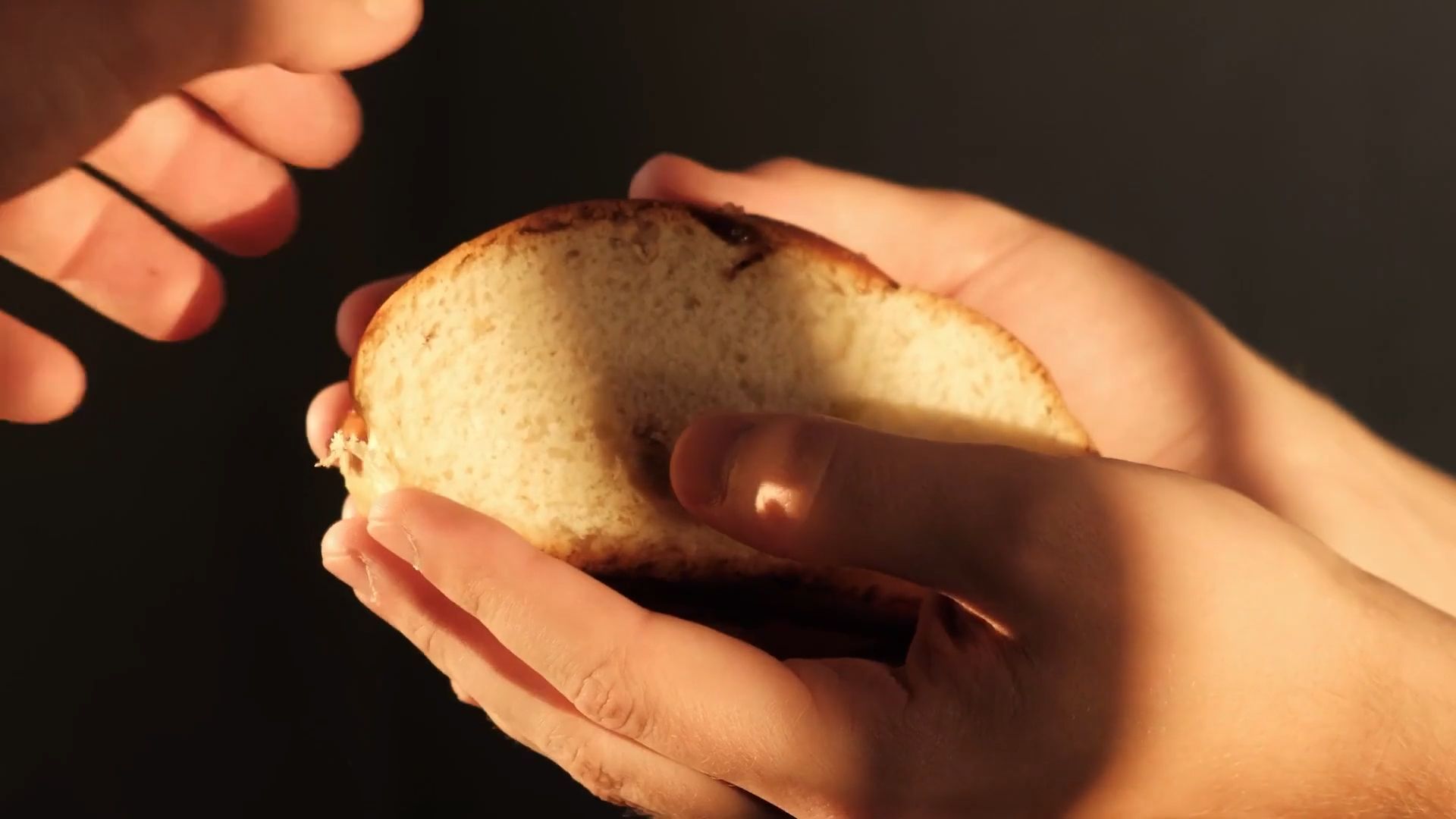 Día Mundial de la Alimentación