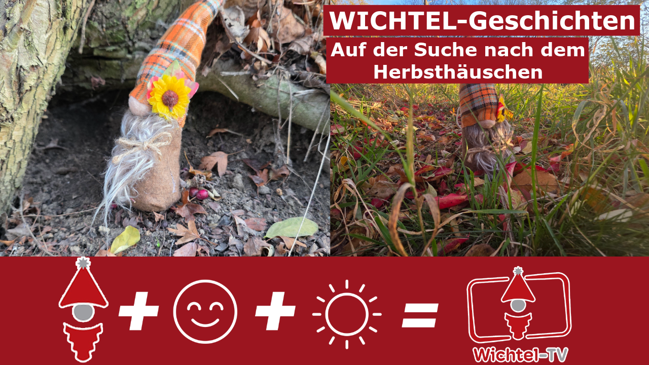 Elf Stories: In Search of the Autumn Cottage