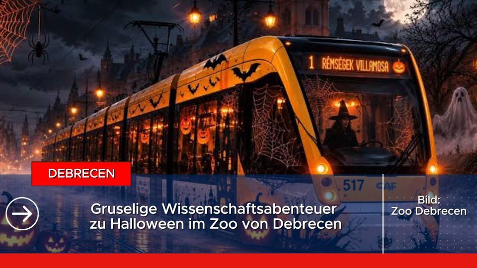 Kurznachrichten aus Ungarn am 29.10.2026