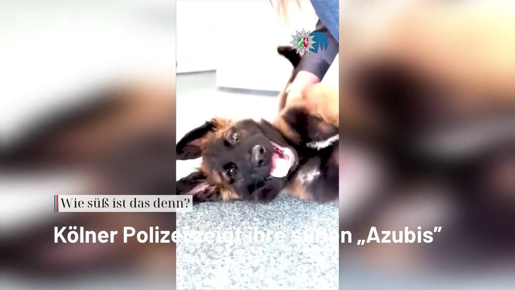Video: Neue Polizei-Azubis: Kölner „Schäng“ feiert Premiere