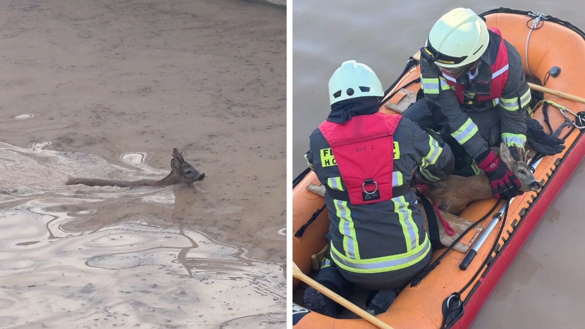 Video: Aus Becken gerettet: Feuerwehr mit spektakulärem Einsatz