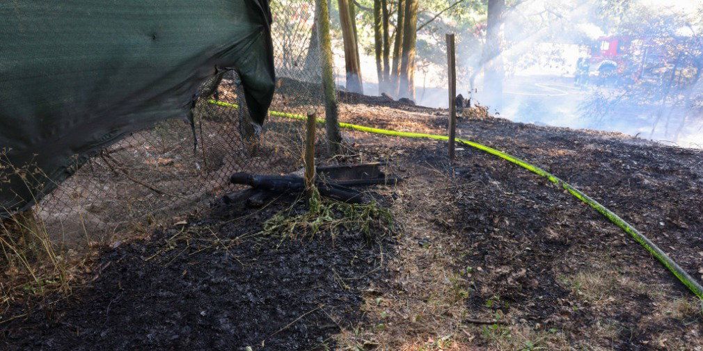 Video: Technischer Defekt löst Flächenbrand aus.