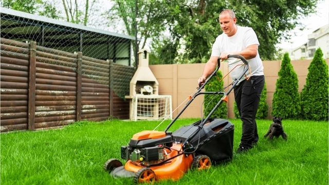 Video: Rasenschnitt liegenlassen? So düngt sich der Rasen selbst