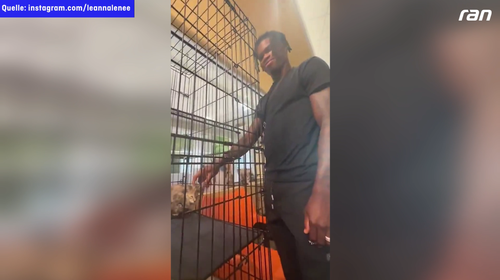 NFL: Travis Hunter von den Jaguars adoptiert Katzenbaby