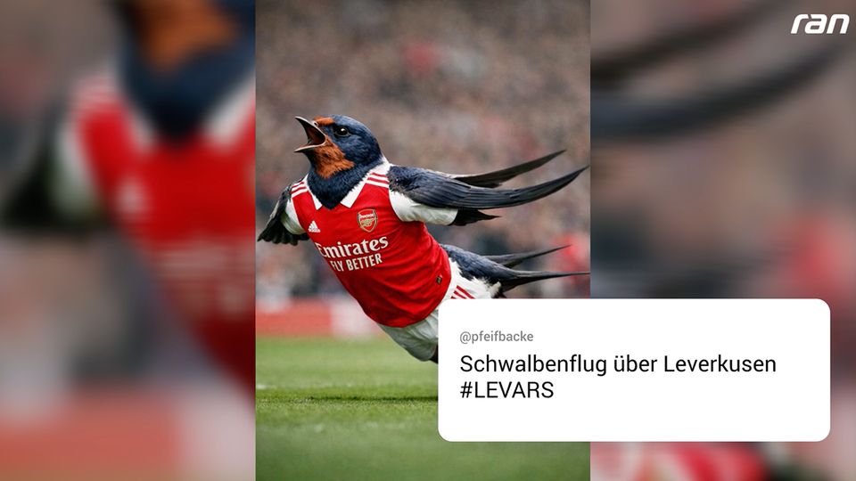 „Verars**t!“ Bayer-Fans toben nach Elfer-Entscheidung