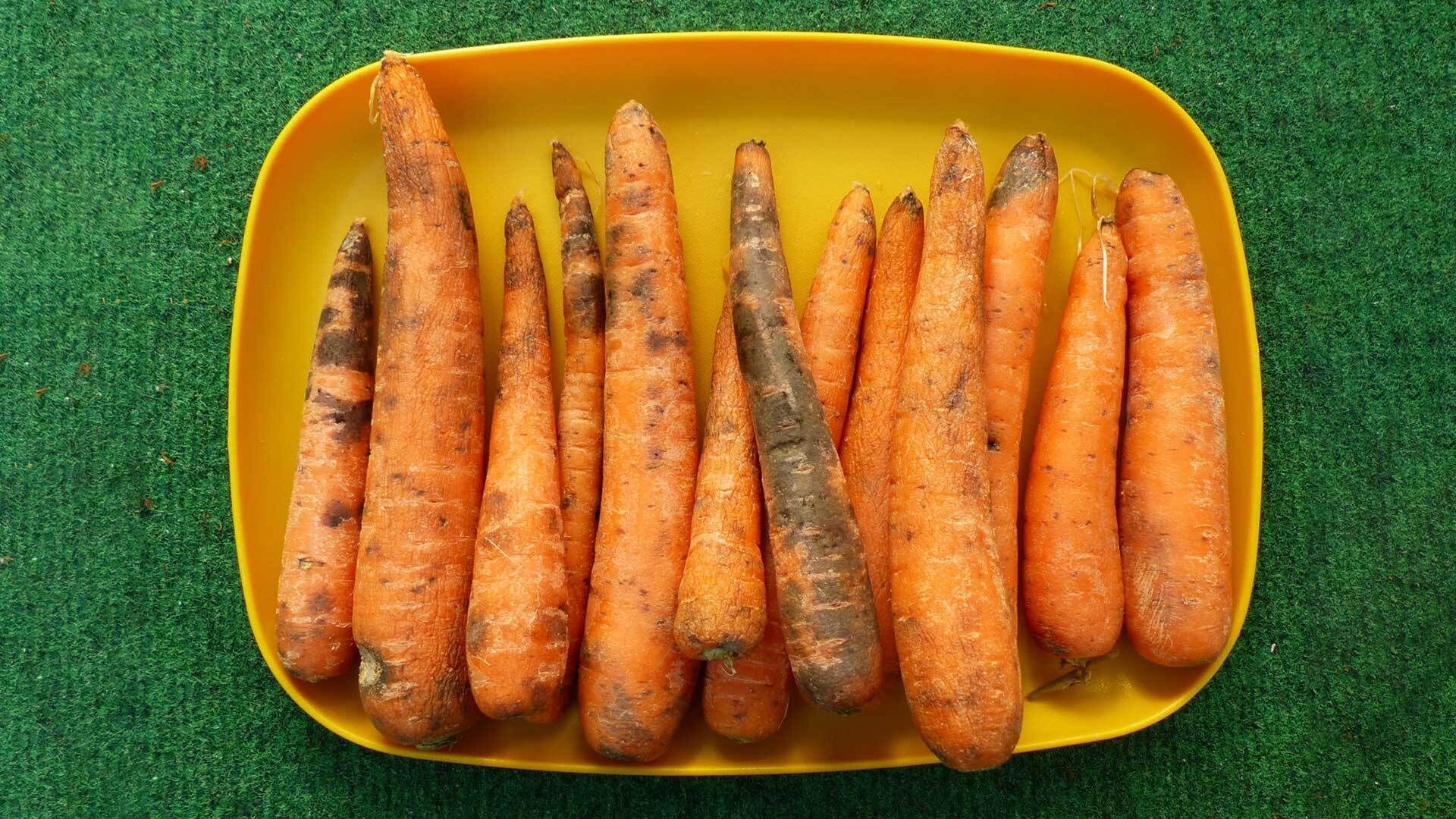 Recycle or throw away: Is it still okay to eat moldy carrots?