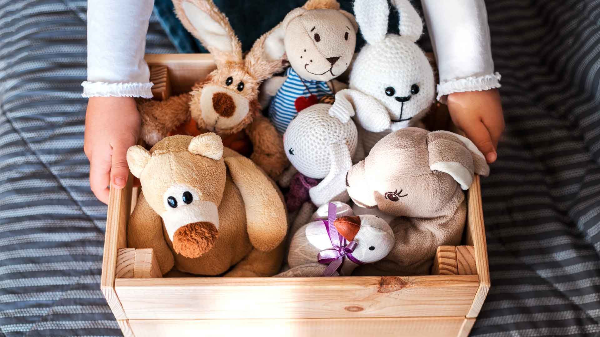 Schmutziger als die Toilette?! Was wirklich auf Kuscheltieren lauert