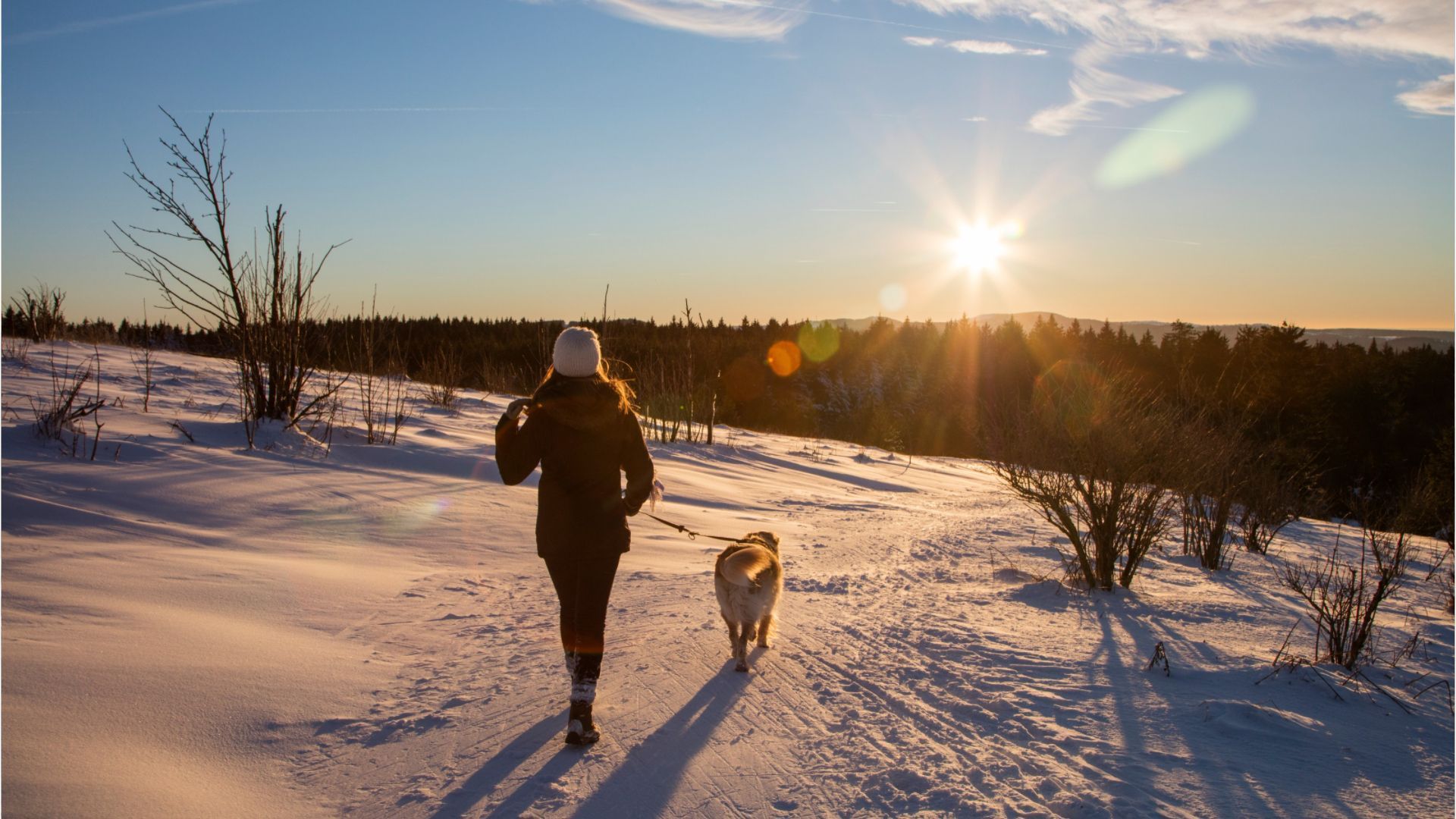 Wintersonnenwende 2024: Alles zum kürzesten Tag des Jahres