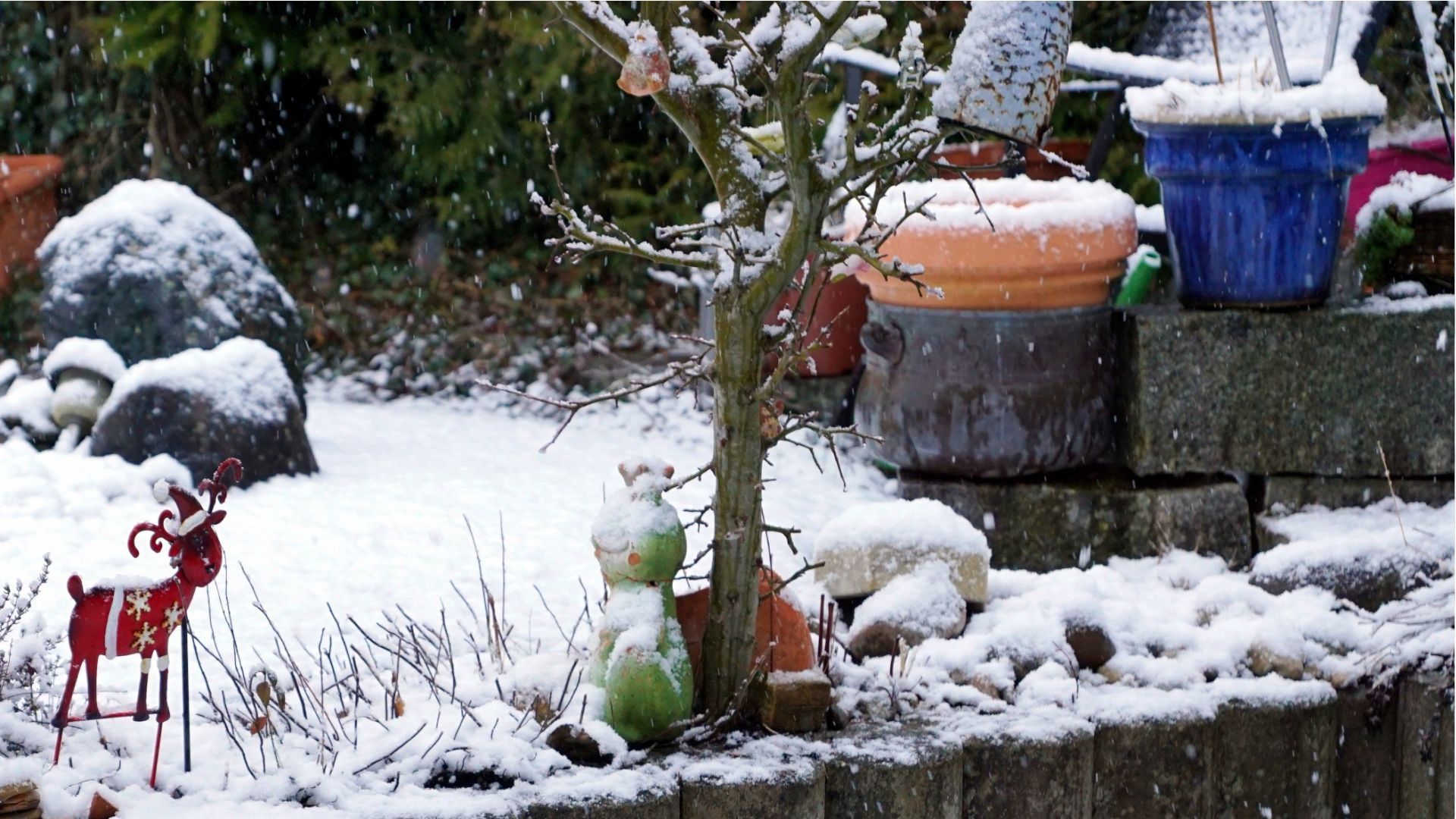Video: Garten im Winter natürlich gestalten - so geht's