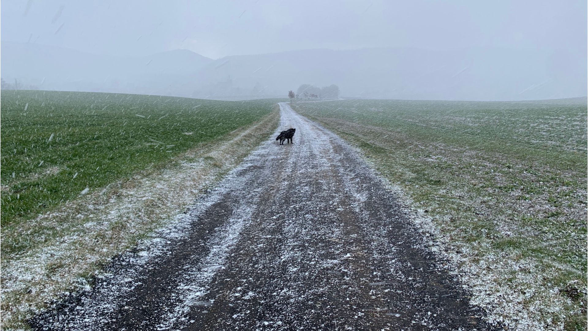 Video: Schnee, Graupel und Regen zum Rosenmontag