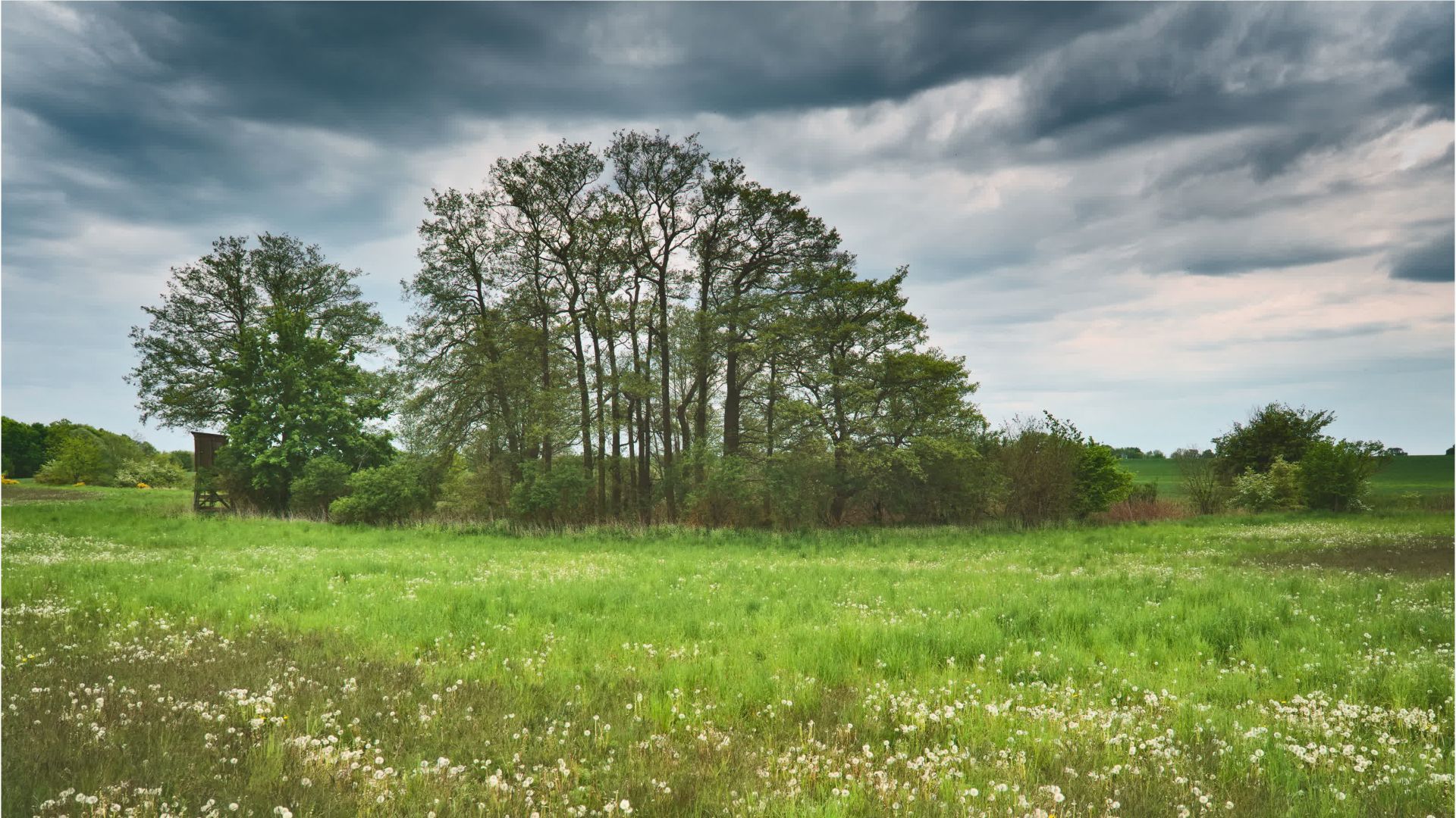 Video: Nach Sonnencreme nun Regenschirm: Wetterumschwung in Bayern
