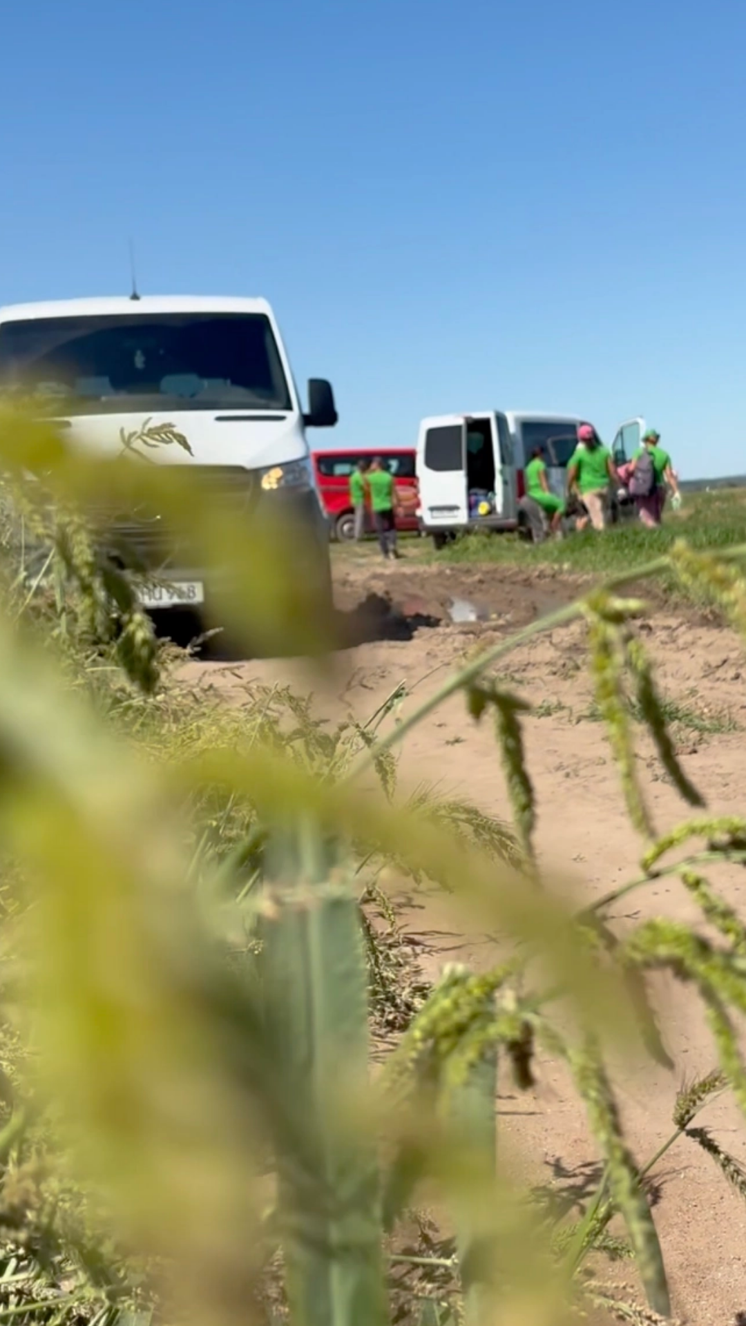 Video: Knoblauchsland kämpft gegen Trockenheit