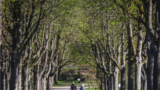 Es gibt viele Friedhöfe, auf die ich privat keinen Fuß setzen würde