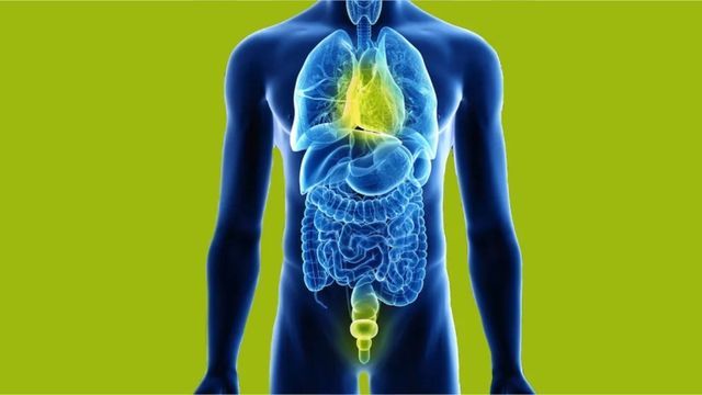 „Der Penis ist die Antenne zum Herzen“