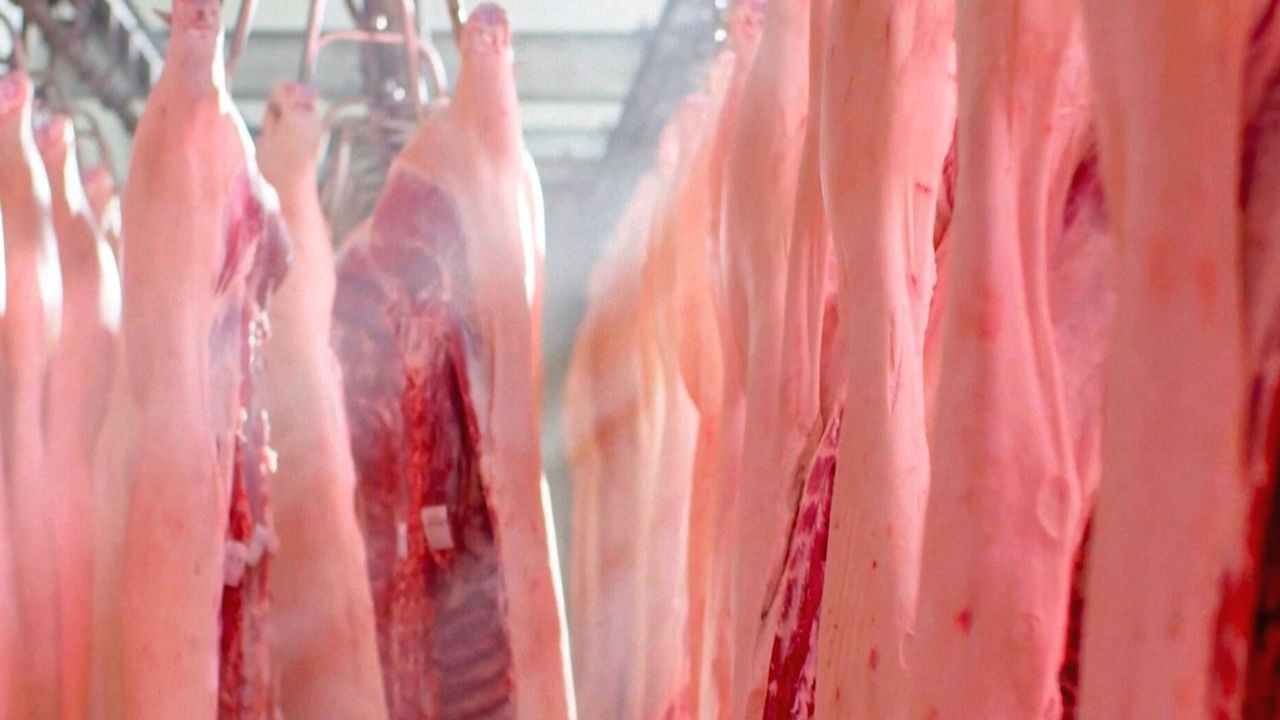 Schweinefleisch aus der EU: China leitet Antidumping-Untersuchung ein