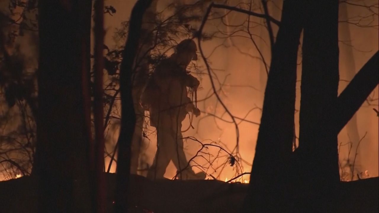 Waldbrand in New Jersey: Mehrere Feuerwehrleute im Einsatz