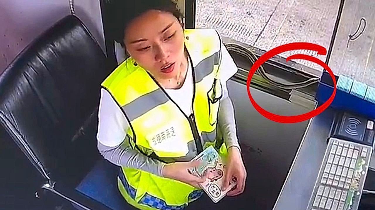 Schock in der Mautstation: Schlange schleicht sich an Mitarbeiterin heran