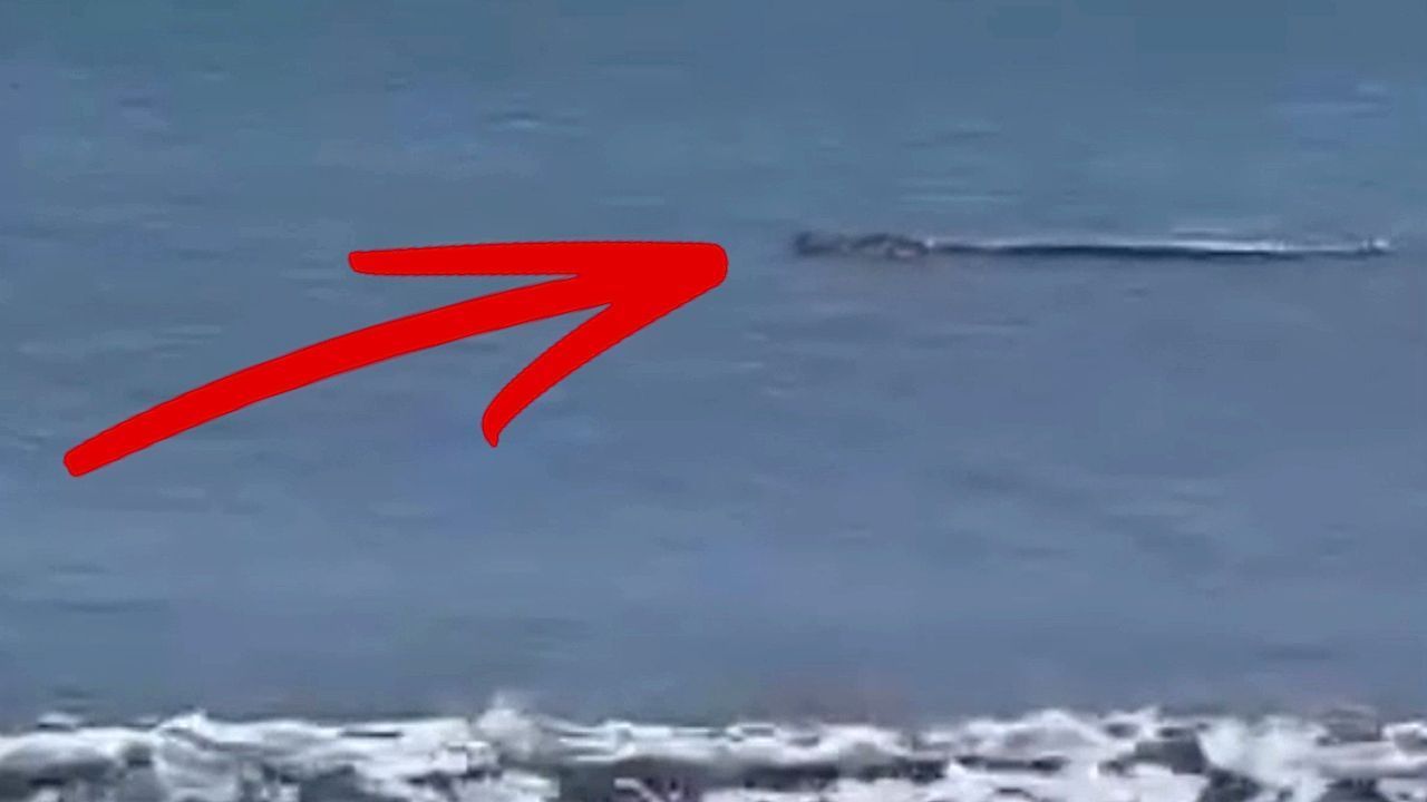 Krokodil taucht am Strand auf – Badegäste in Indonesien geschockt