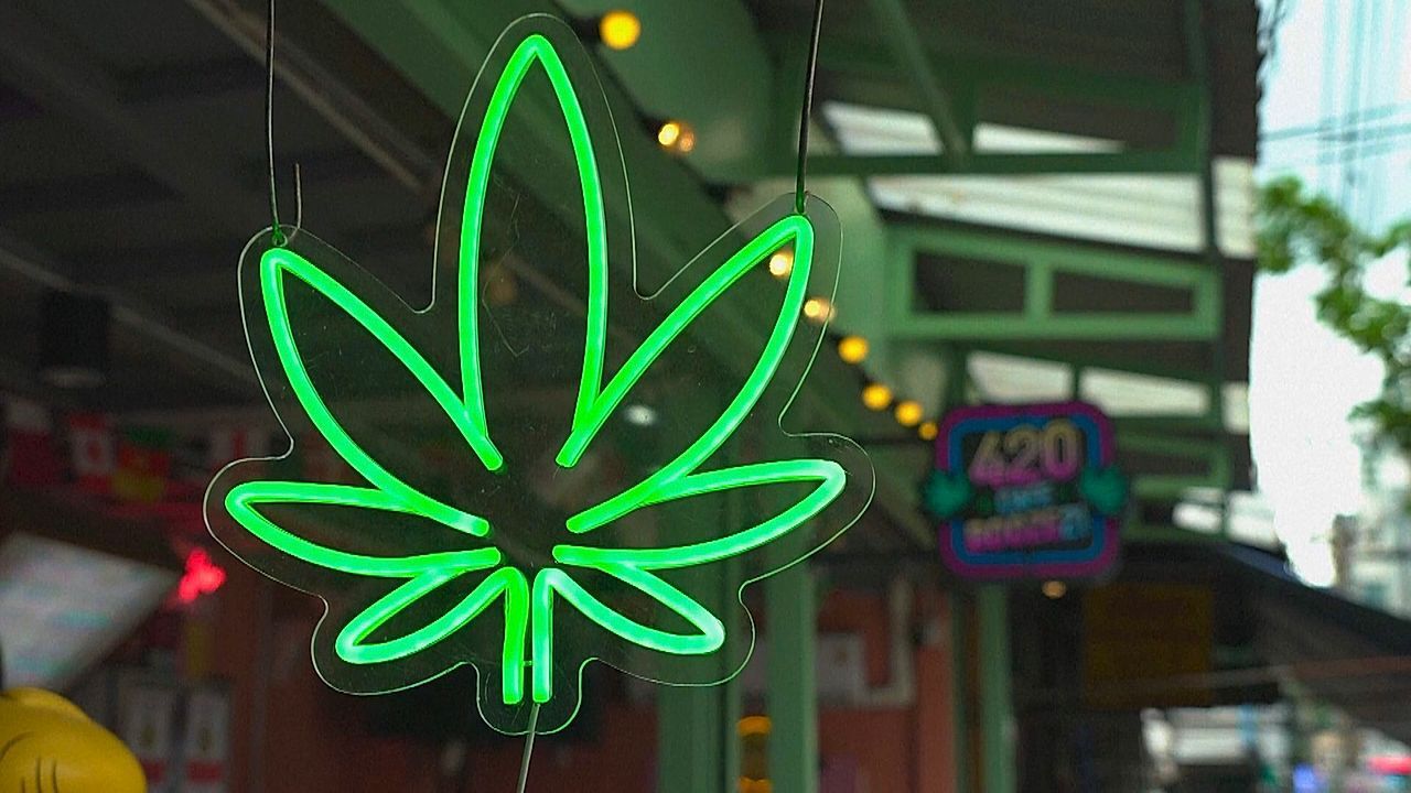Nach drei Jahren Legalisierung: Thailand verbietet Cannabis als Freizeitdroge