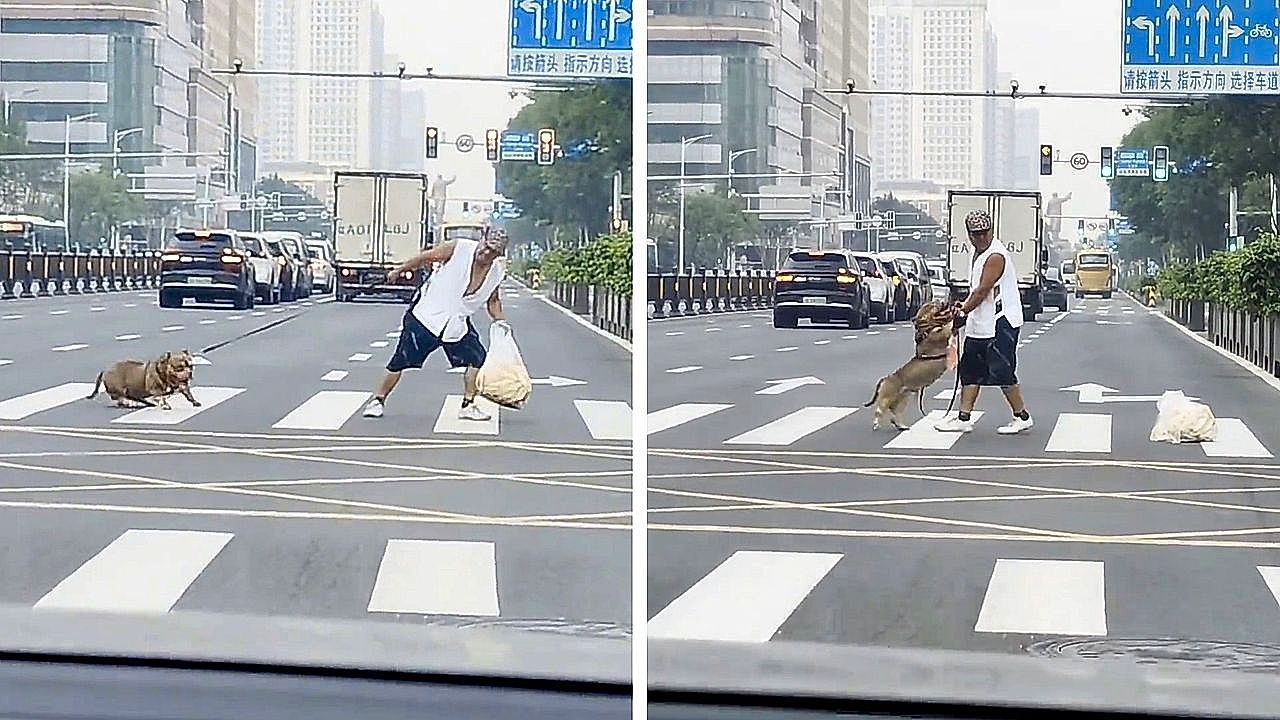 Video: Einfach stehengeblieben: Sturer Hund blockiert Zebrastreifen in China