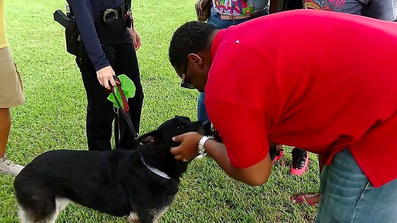 Seit 2018 verschwunden: Familie in Florida findet geliebte Hündin „Bella“ wieder