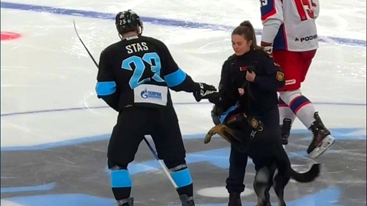 Glove thief! Dog 'bites' hockey captain