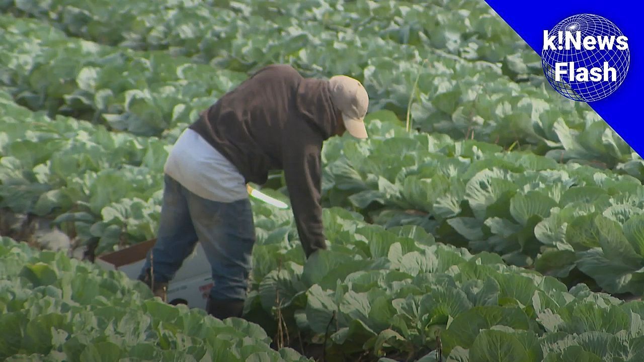 k!News-Schlagzeilen: Trump plant „Farmer Aid“, Dinos in Bolivien, Erdbeben in Japan