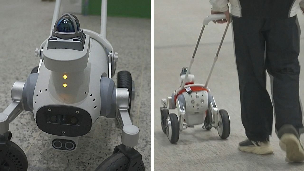 Video: AI-powered robot guide dogs begin trial in China's metro system
