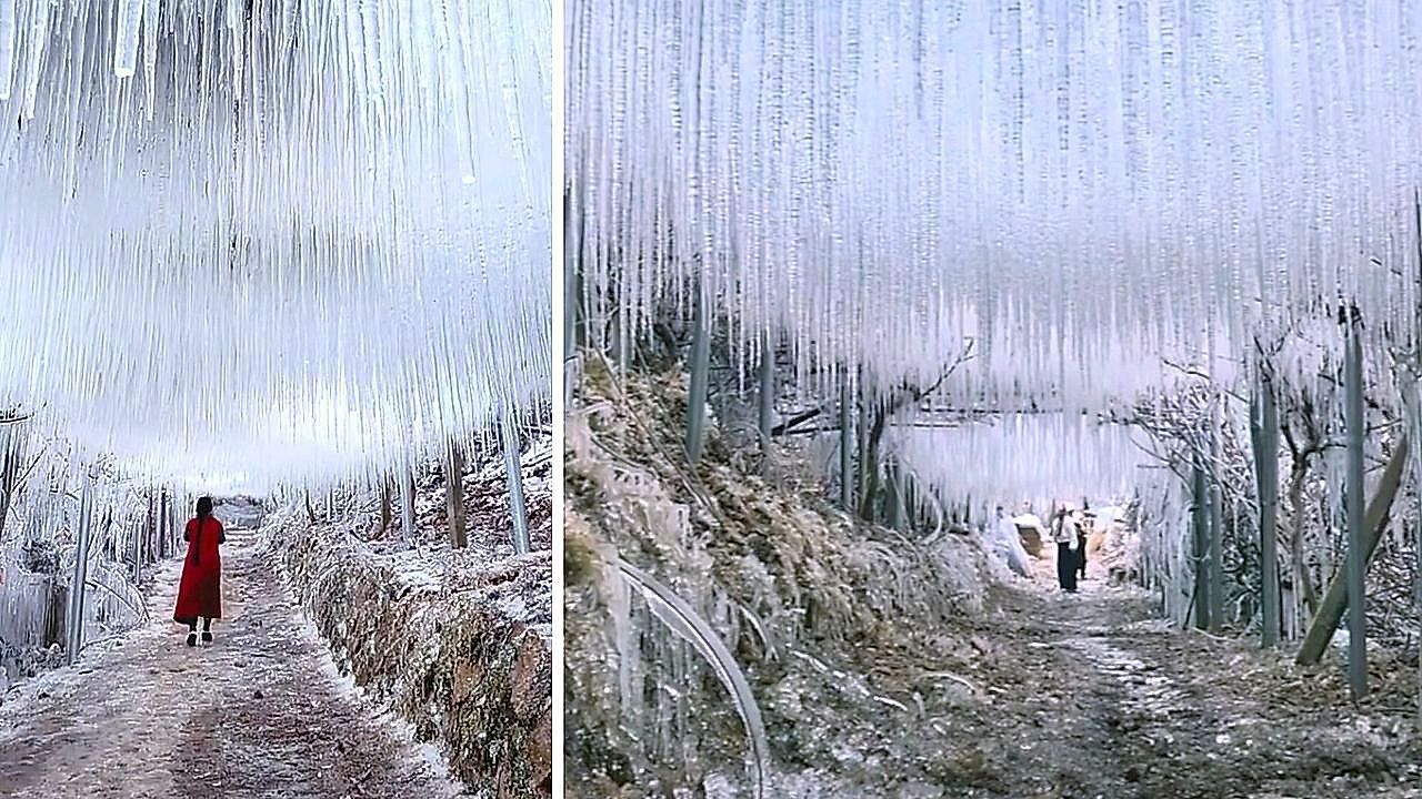 Winter-storm-turns-mountain-into-frozen-curtain-of-crystal-icicles